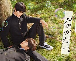 另一个伊甸2024最新兑换码